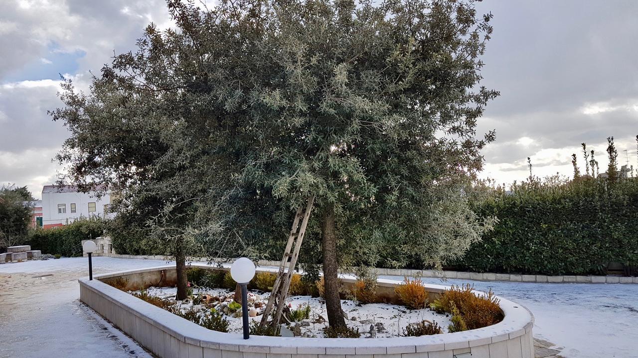 Villa Wonder Alberobello Luaran gambar